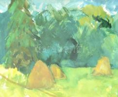 Balla jelzéssel: Zöldellő táj. Akvarell, papír. Üvegezett, kissé sérült keretben. 24×34 cm
