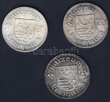 Körmöcbánya DN múzeumi zseton (3x) T:1,2