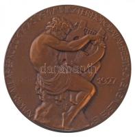 Reményi József (1887-1977) 1927. "Beethoven Halálának Századik Évfordulójára" Br emlékérem...