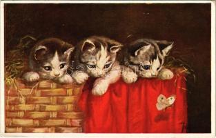 1930 Mollig und Wollig / Cats with moth. Wohlgemuth & Lissner Künstler-Studien No. 03336. s: Francis Fernon (EK)