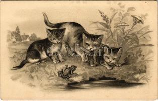 Macskák békával. litho (tiny pinhole), Cats with a frog. litho (tiny pinhole)