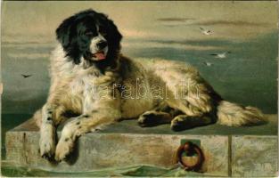 1918 A Distinguished Member of the Humane Society. Newfoundland dog. Stengel & Co. litho s: Sir Edwin Landseer (EK)