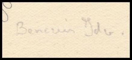 Benczúr jelzéssel: Virágmotívumos ornamentikák. Ceruza, papír, 36x24 cm