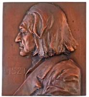 DN "Liszt" Br plakett. Szign.: F. Stias (56x62mm) T:2- patina, hátoldalán ragasztás nyoma