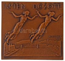 Beck Ötvös Fülöp (1873-1945) 1930. "Buda Pest / Isten hozott" kétoldalas Br plakett (64x68...