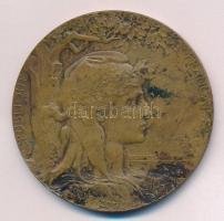 Franciaország 1900. "Francia Köztársaság / Párizsi Világkiállítás 1900" adományozva "...