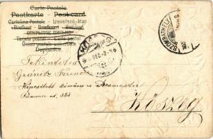 1905 Squirrel. Ser. 334. No. 2581. Emb. litho (EK)