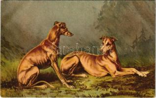 Rassehunde. Wenau-Pastell No. 1230. / Purebred dogs, pedigree dogs s: Maguire (EK)