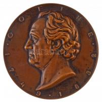DN Goethe 1749-1832 egyoldalas Br plakett. Szign.: Arnold Hartig (75mm) T:1- patina