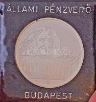 Fülöp Zoltán (1951-) 1986. "175 éve született Doborjánban Liszt Ferenc - 100 éve nyugszik a bay...