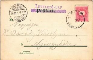 1899 Children sitting on a branch. W. Hagelberg Akt. Ges. Kunstverlag Emil Dotzert No. 184. litho