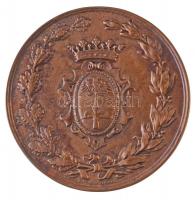 Ausztria 1882. "Osztrák-magyar Ipari és Mezőgazdasági Kiállítás - Trieszt 1882" Br emlékér...