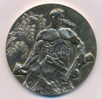 Oroszország DN "A halálra álló szobor, Mamaev Kurgan, Volgograd" fém emlékérem (54mm) T:2 ...