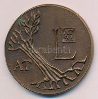 Asszonyi Tamás (1942-) 1992. "Tamás bácsi 50 éves 1992. Aug. 30." kétoldalas, öntött Br em...