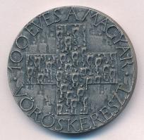 Asszonyi Tamás (1942-) 1981. "1881-1981 / 100 éves a Magyar Vöröskereszt" ezüstözött fém e...