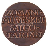 Asszonyi Tamás (1942-) DN "Zománcművészet Salgótarján" kétoldalas, öntött Br plakett (65mm...