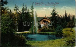 1917 Tátraszéplak, Tatranska Polianka, Westerheim  (Tátra, Magas-Tátra, Vysoké Tatry); nyaraló / villa (EM)