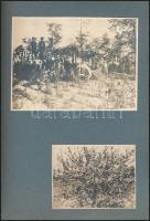 cca 1900 Szüret egy nagybirtokon (az első kép a hely és tulajdonos meghatározásában segíthet), 9 db ...