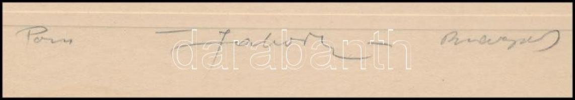 cca 1930 Budapest, Labori fényképész aláírt vintage műtermi fotó, finoman színezve, 23x16,5 cm, kart...