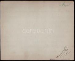 1904 Galgahévíz, Ubrankovich Emőke okleveles segédjegyző, feliratozott, datált vintage fotó, 11,3x15...