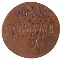 Kiss Nagy András (1930-1997) 1973. "Apáczai Csere János díj" kétoldalas Br plakett (85-88m...