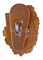 ~1930-1940. "Baross Szövetség" aranyozott, zománcozott gomblyukjelvény 1939-es igazolvánny...