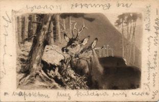Animals deer