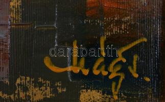 Mág Tamás (1952-2019): Nagyvárad, kora esti hangulat a Körös partján. Olaj, vászon, jelzett a hátold...