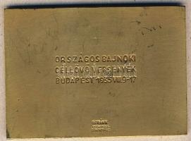 1935. "Országos Magyar Lövész Szövetség 1871" aranyozott Br plakett. Szign.Berán Lajos T:2