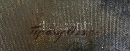 Tipary Dezső (1887-1967): v. B. P úr arcképe, 1920-40 körül. Olaj, vászon, jelzett, restaurált, dísz...