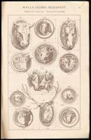 cca 1899 Walla József Mozaik és Cementáru Gyára  árjegyzék és mintakönyv terracotta-gyártmányokról. ...