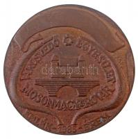 Rajki László (1939-) 1985. "Városvédő Egyesület Mosonmagyaróvár, emlékérem 1985 / Kováts István...