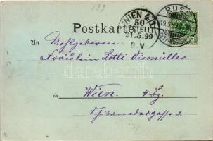 1899 Rusné, Russ, Ruß (Ostpreußen); street view, Hotel Niederung, shop, horse-drawn carriage. Verlag...