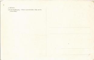 Podebrady, Podiebrad; Lázne Podebrady, Hlavní promenáda v. láz. parku "Kolonády" / spa, ba...