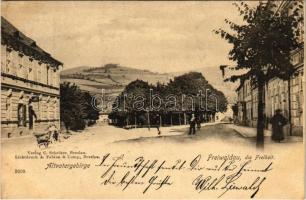 1899 Jeseník, Fryvaldov, Freiwaldau; Altvatergebirge / street view, Hruby Jesenik mountains. Verlag C. Schröter. Lichtdruck A. Fabian & Comp. 3000.