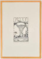 Rékassy Csaba (1937-1989): Kis térkép. Rézkarc, papír, jelzett, számozott (55/100), üvegezett keretb...