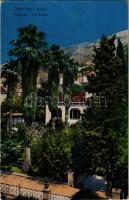 Dubrovnik, Ragusa; Paome / Les Palmes / palm trees