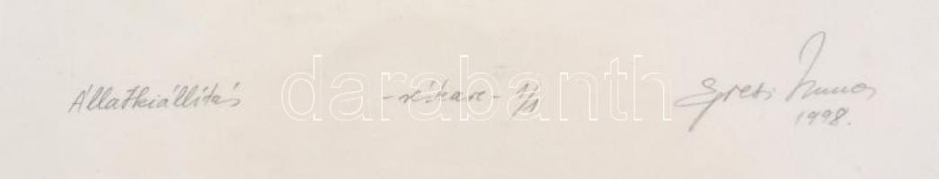 Egresi Zsuzsa (1954-): Állatkiállítás, 1998. Rézkarc, papír, jelzett, számozott: 1/1, üvegezett kere...