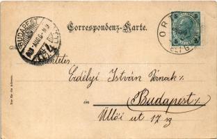 1903 Gmunden, Partie am Traunfall bei Gmunden / waterfall, wooden bridge. Verlag F. E. Brandt 239. (...