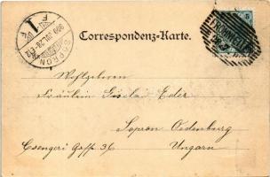 1900 Frohnleiten, Burg Rabenstein / castle. Deutsch's Postkartenverlag 789