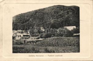 Székelykeresztúr bath (EK)