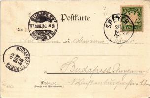 1897 (Vorläufer!) Speyer, vom Altpoertel / general view, cathedral (small tear)