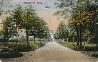 Nagyenyed park (EK)