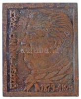 DN Móricz Zsigmond 1879-1979 Br plakett (56x69mm) T:2,2- patina