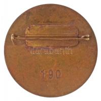 DN "SAJTÓ KÜM" zománcozott jelvény hátoldalán "190"-es sorszámmal (36mm) T:2