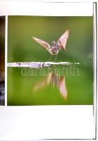 Molnár Márton, Jakab Tibor: Kincsem-tó. A hatvani cukorgyári tavak madárvilága. Hatvan, 2020, Öko-Pl...