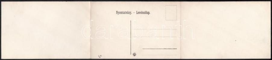 Brassó, Kronstadt, Brasov; Három részes kinyitható panorámalap / 3-tiled folding panoramacard