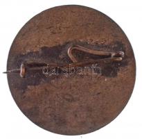 cca 1955. "A Csoport Legjobb Tanulója - DISZ" zománcozott jelvény T:2 zománchiba