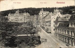 Marianske Lazne, Marienbad; Hotel Weimar and Stern, Mud Bad / mud bath