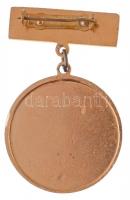 ~1970-1980. "A szakma ifjú mestere" aranyozott, festett fém jelvény T:1-